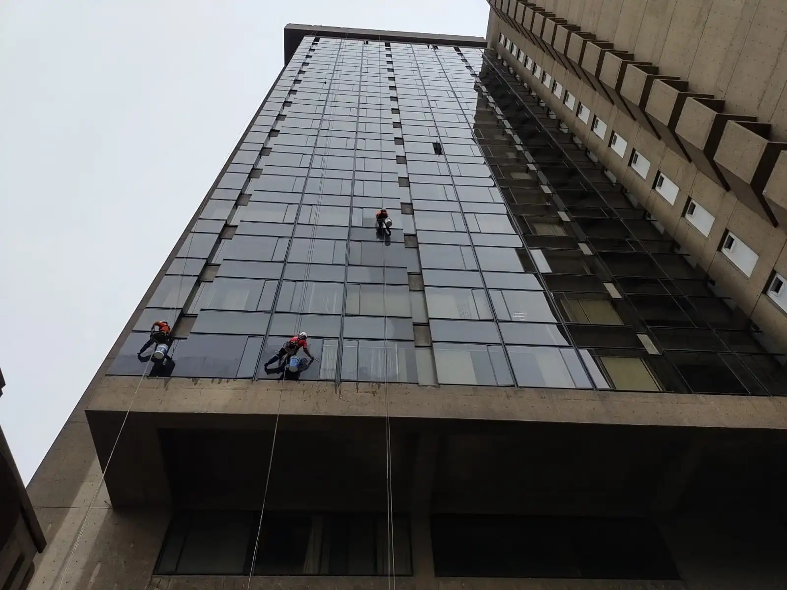 Edificio corporativo — cliente Escorpion Vertical