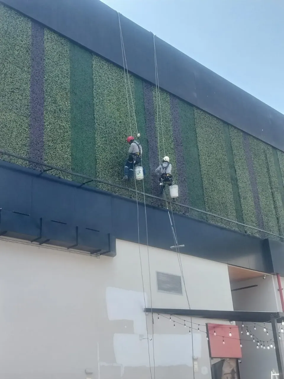 Jardines verticales